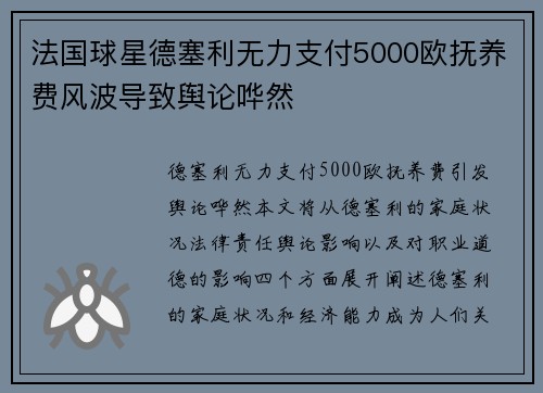 法国球星德塞利无力支付5000欧抚养费风波导致舆论哗然